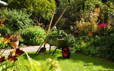 Comment déblayer un jardin encombré